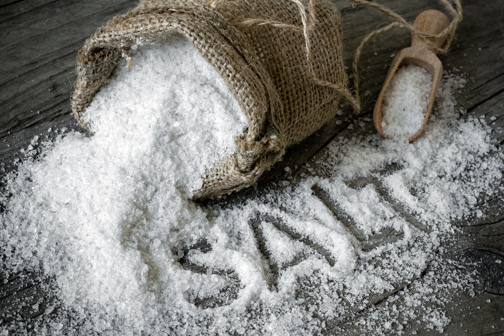 history of salt